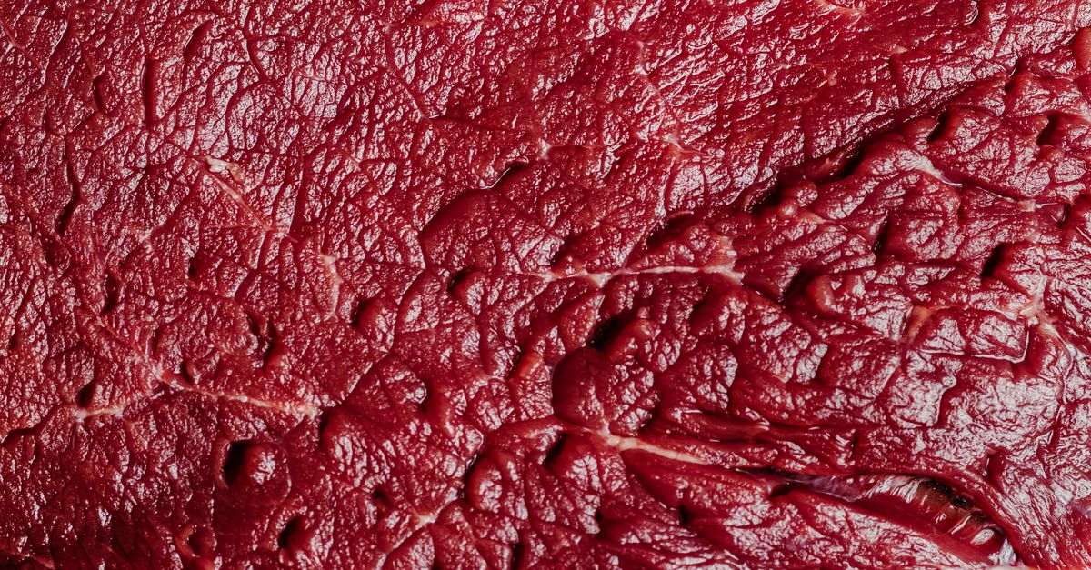 Deer（ディア）鹿肉ドッグフードの特徴・口コミは？ジビエ（鹿肉）フードを調べてみた